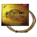 Dean Markley VintageBronze Signature Series Acoustic 12-String, 11-50, 2204, Medium Light