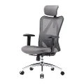 SIHOO Ergonomics Office Chair Recliner Chair,Computer Chair Desk Chair, Adjustable Headrests Chair Backrest and Armrest's Mesh Chair (Black)