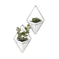 Umbra Trigg Hanging Vase & Geometric Wall Decor Container, White/Nickel, Set of 2 Planter, Small