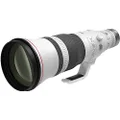 Canon RF 600mm f/4L IS USM Lens