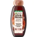 Garnier Whole Blends Shampoo with Coconut Oil & Cocoa Butter Extracts, 12.5 Fl Oz (1 Count)