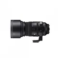 For 150-600mm F5-6.3 DG DN OS Sports L