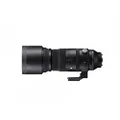 For 150-600mm F5-6.3 DG DN OS Sports L