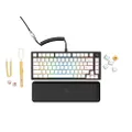 GLORIOUS GMMK Pro Prebuilt (Black) - ANSI/USA Layout - Lubed Fox Linear Switches PBT Keycaps (White) - High Profile Gasket Mounted Prebuilt Premium RGB 75% Keyboard