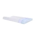 Slim Sleeper- Thin Memory Foam Pillow,Contour Slim & Low Cervical Profile, for Zen Relaxation Low Pillow, Pain Relief, for Stomacher, Back and Side Sleeper (23.6x13.7x2.4/1.9 inch,Gel)