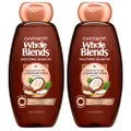 Garnier Whole Blends Smoothing Shampoo with Coconut Oil & Cocoa Butter Extracts, 12.5 Fl Oz (Packaging May Vary), 2 Count