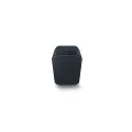 Bluesound Pulse Flex 2i Portable Wireless Multi-Room Smart Speaker with Bluetooth - Black - Compatible with Alexa and Siri