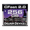Delkin Devices 256GB Cinema CFast 2.0 Memory Card (DDCFST560256)