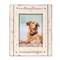 Prinz Homestead 5x7 Distressed Wood Picture Frame, Tabletop or Wall Mount, Antique White