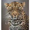 Remembering Leopards