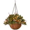 National Tree Company Pre-Lit Artificial Christmas Hanging Basket, Mountain Spruce, Decorated With Frosted Pine Cones, Berry Clusters, White Lights, Christmas Collection, 20 Inches