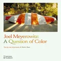 Joel Meyerowitz: A Question of Colour: A Question of Color