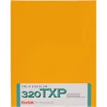 KODAK Professional Tri-X Pan 320 TXP 4164 Black & White Film ISO 320, 4x5, 10 Sheets