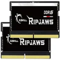 G.SKILL Ripjaws DDR5 SO-DIMM Series DDR5 RAM 32GB (2x16GB) 4800MT/s CL40-39-39-76 1.10V Unbuffered Non-ECC Notebook/Laptop Memory SODIMM (F5-4800S4039A16GA2-RS)