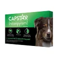 CAPSTAR (nitenpyram) Oral Flea Treatment for Dogs, Fast Acting Tablets Start Killing Fleas in 30 Minutes, Medium & Large Dogs (Over 25 lbs), 6 Doses