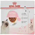 Royal Canin Feline Health Nutrition Kitten In Gravy Pouch Cat Food (Box Of 85G X 12)
