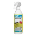 HG Mould Spray (2)