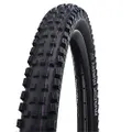 SCHWALBE - Magic Mary Downhill and Enduro Tubeless Folding Bike Tire | 29 x 2.4 | Evolution Line, Super Gravity, Addix Ultra Soft | Black