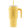 REDUCE 40 oz Tumbler with Handle - Vacuum Insulated Stainless Steel Mug Sip-It-Your-Way Lid and Straw Keeps Drinks Cold up to 34 Hours Sweat Proof, Dishwasher Safe, BPA Free OG Pineapple (13277-FF)