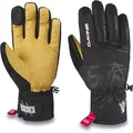 Dakine Team Fillmore Gore-Tex Short Glove Karl Fostvedt - Fostvedt Black, Medium