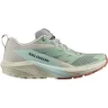 SALOMON Shoes Sense Ride 5 W, Women's Trail Running Shoes, Lily Pad Rainy Day Bleached Aqua, 5.5 UK