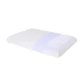 SUQ I OME Slim Sleeper -Thin Memory Foam Pillow for Sleeping,Low Profile, Ultra Thin Flat Pillow for Stomach Sleepers 23 x 15.7 x 2.2 inches