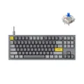 Keychron Q3 Wired Custom Mechanical Keyboard Knob Version, TKL QMK/VIA Programmable Macro with Hot-swappable Gateron G Pro Blue Switch Double Gasket Compatible with Mac Windows Linux (Grey)