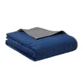 YnM Exclusive Weighted Blanket, Cooling & Warm Dual-Sided, Smallest Compartments, Ideal for Two Persons of lbs on Queen/King/Ca King Bed (88x104 Inches, 15 Pounds, Blue/Grey) …