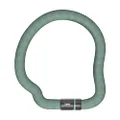 ABUS Goose Lock Chain Lock - Flexible Rattle Free Hardened Steel Bicycle Lock - 6mm Thick - 110cm Long - With Key - Light Green