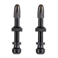 SCHWALBE Tubeless Valve 3470 for Bicycles