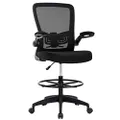 FDW (Factory Direct Wholesale) OC-DF791-Black Office Chair, Best Office, Black, Lumbar Support, Adjustable Height, Flip-up Arm, Footrest, PC and Drafting Chair, Mesh, Authentic Japanese Product