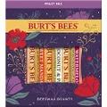 Burt's Bees Holiday Gift, 4 Lip Balm Stocking Stuffer Products, Beeswax Fruit Set - Pomegranate, Sweet Mandarin, Coconut and Pear & Watermelon (New Version),0.15 Ounce (Pack of 4)