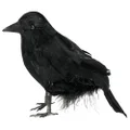 Halloween Haunted Feathered Raven