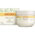Burt's Bees Sensitive Solutions Calming Night Cream,1.8 Oz (package May Vary), 1.8 ounces