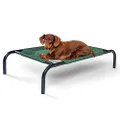 Coolaroo 317263 nal Elevated Pet Bed by Coolaroo, Small, Brunswick Green