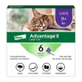 Advantage II 6-Dose Large Cat Flea Prevention, Flea Prevention for Cats, Over 9 Pounds