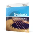 D'Addario Guitar Strings - Phosphor Bronze Acoustic Guitar Strings - EJ38 - Rich, Full Tonal Spectrum - For 12 String Guitars - 10-47 Light 12-String