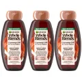 Garnier Whole Blends Smoothing Shampoo with Coconut Oil and Cocoa Butter Extracts, For Frizzy Hair, 12.5 Fl Oz, 3 Count (Packaging May Vary)