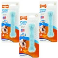 Nylabone 3 Pack Of Puppy X Bone Beef Flavored Chew Toys, For Dogs Up To 25 Pounds
