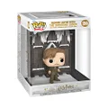 Funko Pop| Deluxe: Harry Potter: Hogsmeade - Remus Lupin with The Shrieking Shack, Multicolor, (65648)