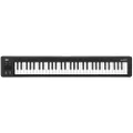 Korg Keyboard Amplifier, 61-Key (MICROKEY261),Black