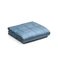 YnM Bamboo Weighted Blanket — 100% Cooling Bamboo Viscose Oeko-Tex Certified Material with Premium Glass Beads (Blue Grey, 60''x80'' 15lbs), Suit for One Person(~140lb) Use on Queen/King Bed