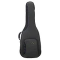 Reunion Blues RBCSH RB Continental Voyager Semi/Hollow Body Electric Guitar Case