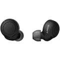 Sony WF-C500 BZ Fully Wireless Earbuds, Lightweight, Small 0.2 oz (5.4 g), High Precision Call Quality, Easy Pairing, IPX4 Splashproof Performance, Black