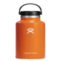 Hydro Flask 18 oz Standard Mouth with Flex Cap Stainless Steel Reusable Water Bottle Mesa - Vacuum Insulated, Dishwasher Safe, BPA-Free, Non-Toxic (S18SX808)