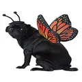 Pet Butterfly Costume Large