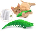 Ronton Cat Toothbrush Catnip Toy - Durable Hard Rubber - Cat Dental Care, Cat Interactive Toothbrush Chew Toy (1-Pack Green)