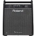 Roland PM-200 Personal Monitor Amplifier