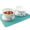 Raised Cat Bowl Elevated Slow Feeder No Spill Melamine Stress Free Pet Feeder and Waterer,Backflow Prevention, Gift for Cat