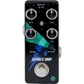 Pigtronix Space Rip Synth Pedal